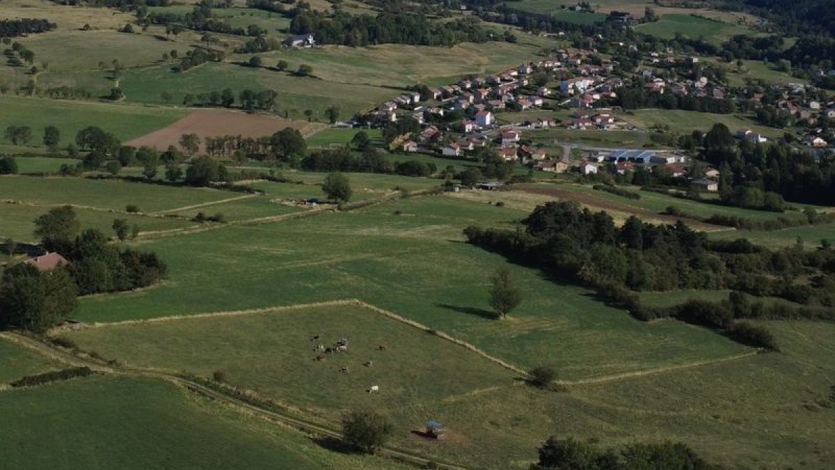 Prés et parcelles agricoles autour de Laussonne