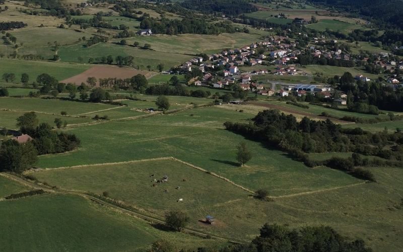 Prés et parcelles agricoles autour de Laussonne
